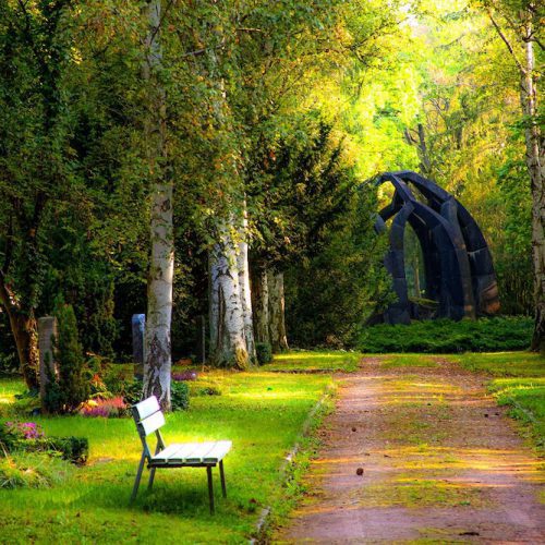 Shade Garden Landscaping Oasis
