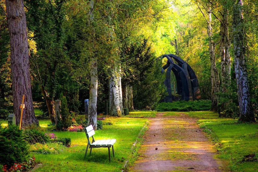 Shade Garden Landscaping Oasis