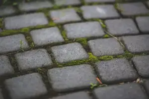 Garden Patio Moss and Stone