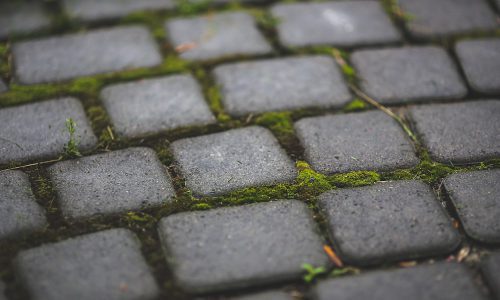 Garden Patio Moss and Stone