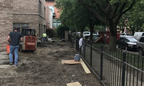 Chicago Landscaping Before Photo