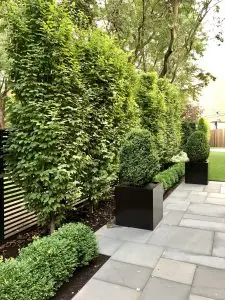 Chicago Landscape Design
