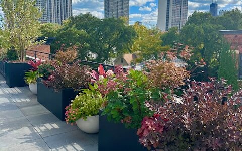 Taylor Made - Rooftop Deck Design Chicago