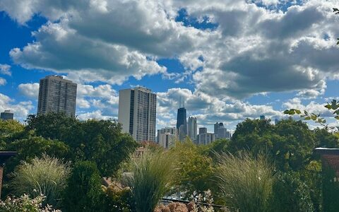 Taylor Made - Rooftop Deck Design Chicago