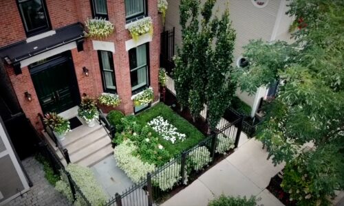 Taylor Made - Chicago Landscaping & Rooftop Design