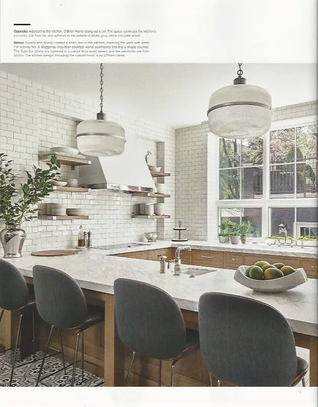 Luxe Magazine features Chicago Landscaping Rooftop Deck Company
