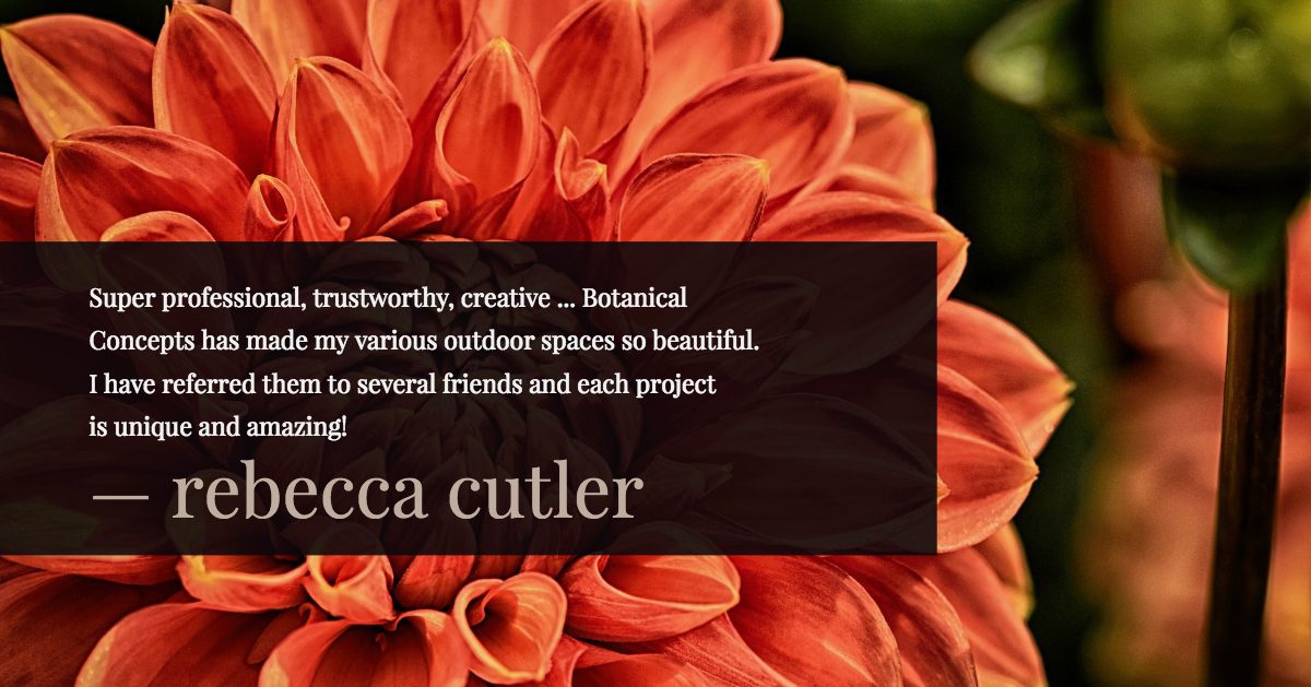 Rooftop Deck Design Reviews Botanical Concepts Chicago