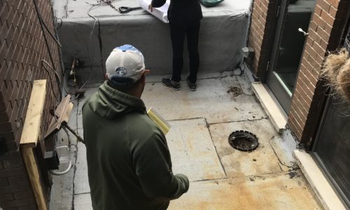 Maximize Your Potential - Chicago Landscape Design