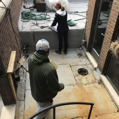 Maximize Your Potential - Chicago Landscape Design