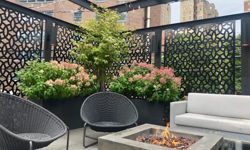 Baker - Botanical Concepts Chicago Rooftop Design