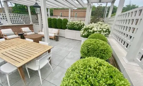 Timeless - Chicago Rooftop Deck Design Services - Green Roof Deck