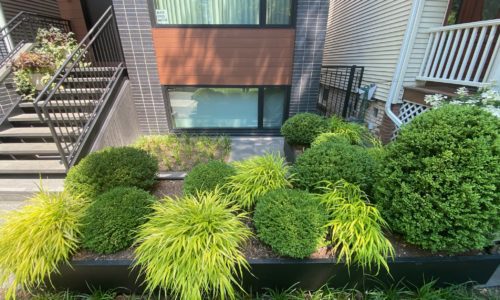 Chicago Grade Level Yard Design