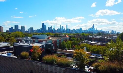 Porcelain Perfection - Chicago Green Roof Design