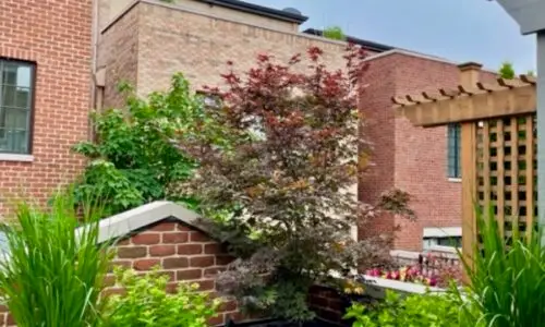Family Tradition - Grade level and rooftop transformation Chicago