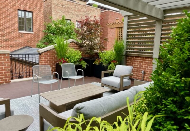 Family Tradition - Grade level and rooftop transformation Chicago