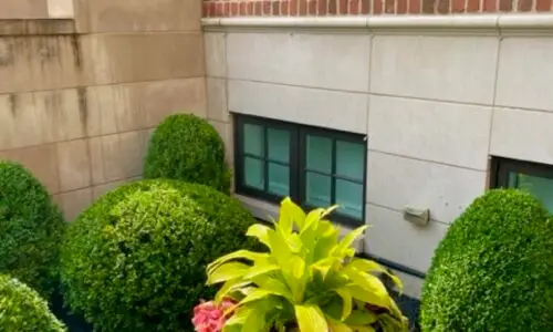Family Tradition - Grade level and rooftop transformation Chicago