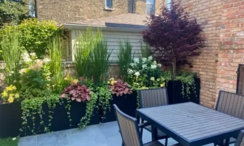 Bluestone Backyard - Yard Design by Botanical Concepts Chicago