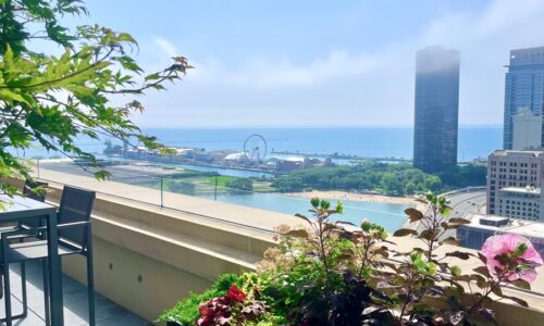 Lakefront Luxury - Green Rooftop Design Chicago