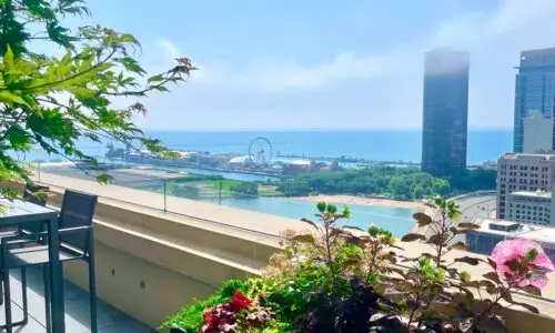 Lakefront Luxury - Green Rooftop Design Chicago