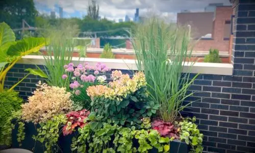 Freemont - Botanical Concepts Chicago Rooftop Deck Design