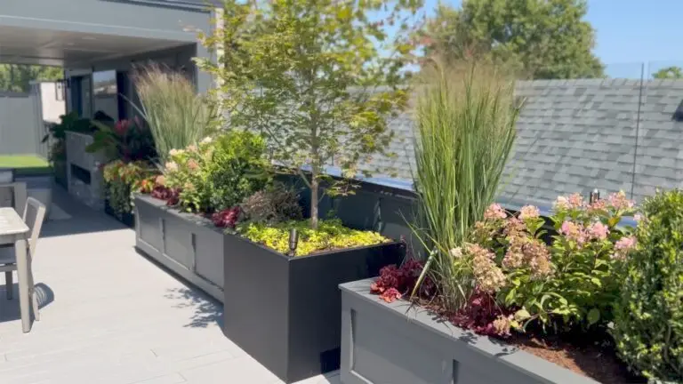 Roof Deck & Landscape Design Portfolio