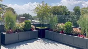 Chicago Rooftop Deck Permit Requirements