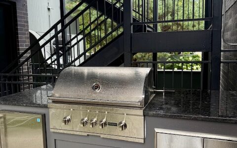 Bi-Level Luxury - Chicago Landscape Design