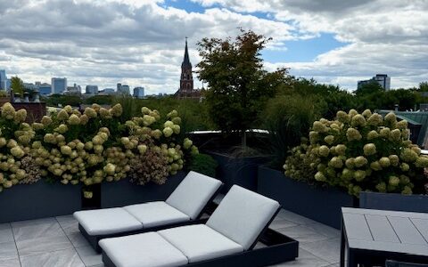 Full of Possibilities - Rooftop Deck Design in Chicago