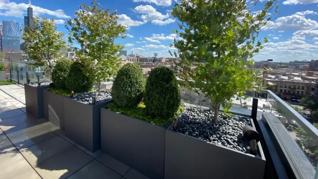 Row of dark aluminum rooftop planters with Japanese maples and boxwood spheres overlooking the Chicago skyline.
