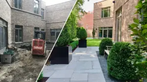 Split image showing a courtyard before and after landscaping: on the left, bare dirt with a Bobcat skid steer during construction; on the right, the same space finished with bluestone pavers, black square planters, trimmed hedges, and a lush green lawn between brick townhomes.