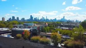 Rooftop garden with ornamental grasses and plantings overlooking the Chicago skyline